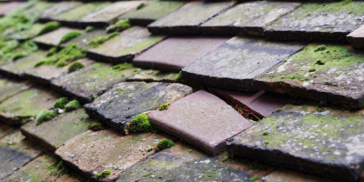 Bramhall roof repair costs